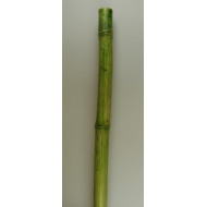 Bambusz 2,1m×4-4,5cm vil.zöld (repedt)