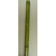 Bambusz 2,1m×6-8cm apple green (cracked)