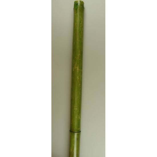 Bambusz 2,1m×6-8cm vil.zöld (repedt)
