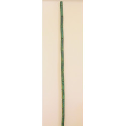 Bambusz 2m×3-3,5cm vil.zöld