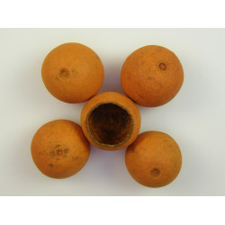 Bell cup 4-5cm narancs
