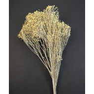 Broom Bloom 100g falfestékes fehér