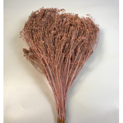 Broom Bloom 100g falfestékes rózsaszín