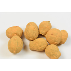 Eukalyptus/Bell Gum falfestékes narancs
