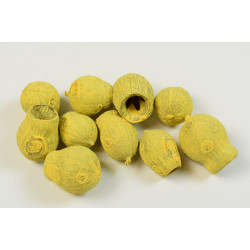 Eukalyptus/Bell Gum falfestékes sárga