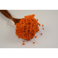 Glixia 50g orange