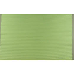 Hullámpapír 52×68cm apple green