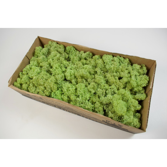 Izlandi zuzmó 500g hamvas zöld