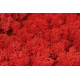 Izlandi zuzmó 500g piros
