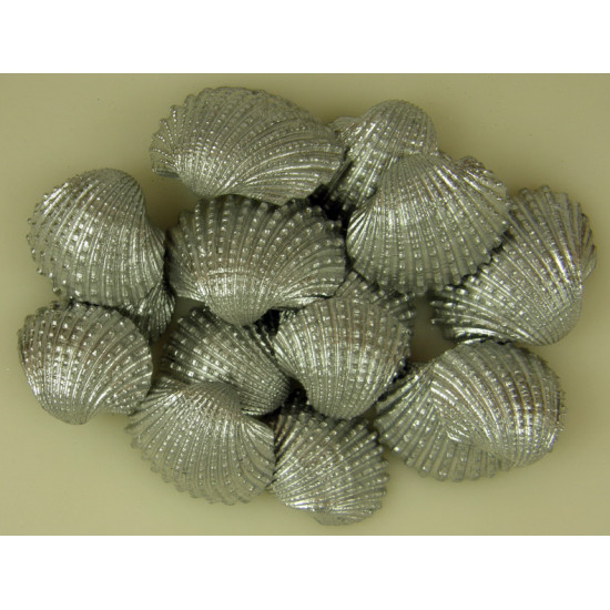 Kagyló Chippi-Szívkagyló 2-3cm mini ezüst