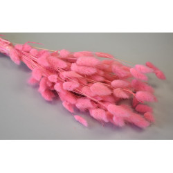 Lagurus 50g feh.rózsaszín