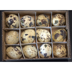 w/b. 12 quail eggsnatural