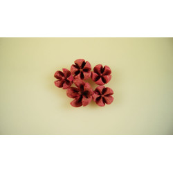 Tulipán termés feh.rózsaszín