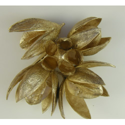 Wildlilie arany